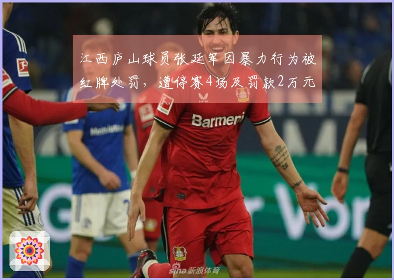 江西庐山球员张延军因暴力行为被红牌处罚，遭停赛4场及罚款2万元
