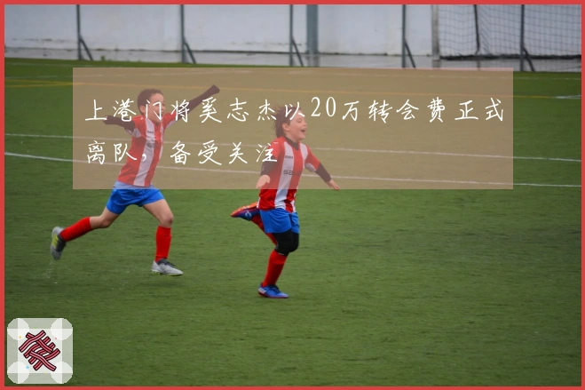 上港门将奚志杰以20万转会费正式离队，备受关注